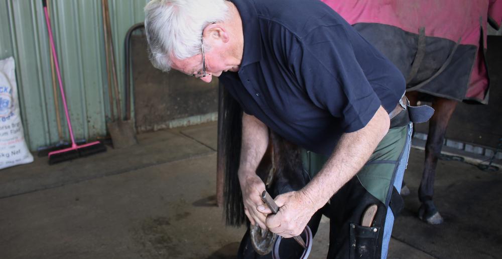 The Australian master farrier Carl O'Dwyer shoeing a horse
