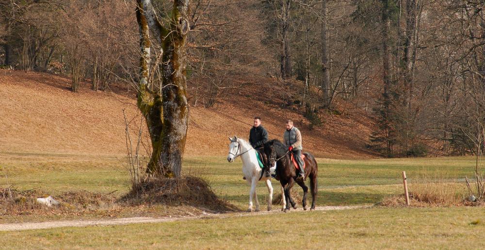 Two riders in a forrest